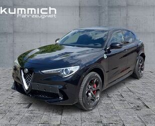 Alfa Romeo Alfa Romeo Stelvio Quadrifoglio 2.9 V6 510PS/PANO/ Gebrauchtwagen