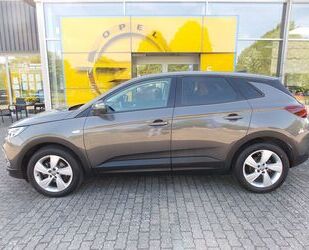 Opel Opel Grandland X -gRAUe Edition- LED+NAVI+SHZ+PDC+ Gebrauchtwagen