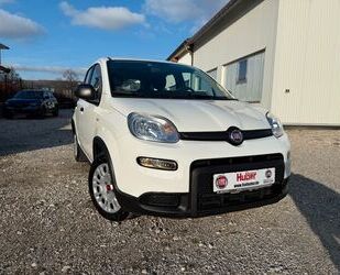 Fiat Fiat Panda Hybrid PDC Klima Radio Gebrauchtwagen