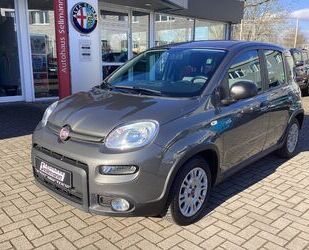 Fiat Fiat Panda 1.0 GSE 52kW Hybrid Klima, DAB, Bluetoo Gebrauchtwagen