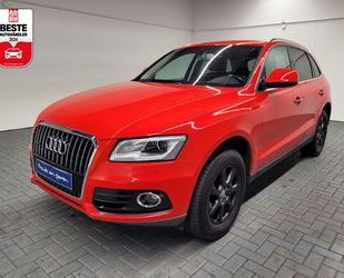 Audi Audi Q5 quattro AHK/Standhz/Bi-Xenon/Kamera/Navi Gebrauchtwagen