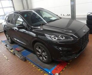 Ford Ford Kuga Plug-In Hybrid ST-Line X+Techno+Winter+L Gebrauchtwagen