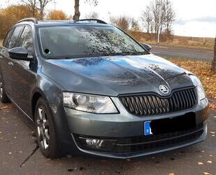 Skoda Skoda Octavia 1.4 TSI Joy Navi, Pano, SHZ, PDC, Xe Gebrauchtwagen