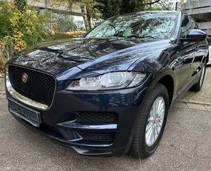 Jaguar Jaguar F-Pace F-PACE Pure Gebrauchtwagen