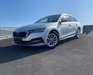 Skoda Skoda Octavia Combi First Edition Gebrauchtwagen