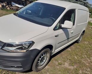 VW Volkswagen Caddy 1,4TSI 92kW Kasten Maxi 1 Hand S Gebrauchtwagen