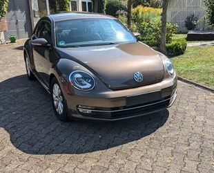 VW Volkswagen Beetle 1.2 TSI Design Bi-Xenon-Scheinwe Gebrauchtwagen