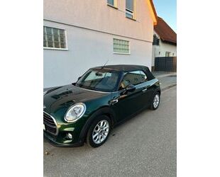 Mini MINI Cooper Cabrio Cooper Gebrauchtwagen