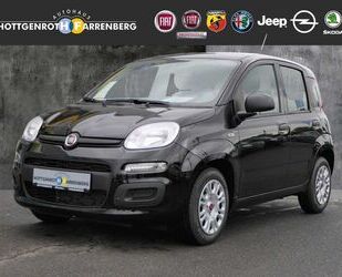 Fiat Fiat Panda 1.0 GSE Hybrid Gebrauchtwagen