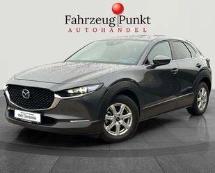 Mazda Mazda CX-30 Selection 2WD, BOSE, 360°, Apple Carpl Gebrauchtwagen