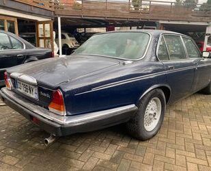 Jaguar Jaguar XJ12/Daimler Double Six / TOP Zustand/ Seri Gebrauchtwagen