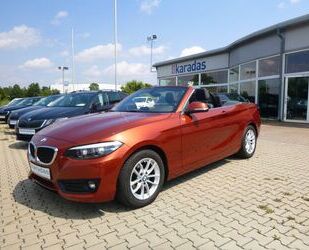 BMW BMW 218i Cabrio >NAV/AHK/Teil-Leder/LED/SHZ/PDC< Gebrauchtwagen