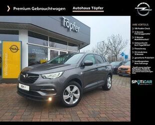 Opel Opel Grandland X Edition 