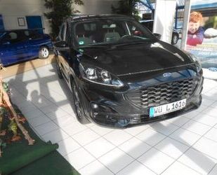 Ford Ford Kuga ST-Line X Kamera, Navi, LED, Gebrauchtwagen