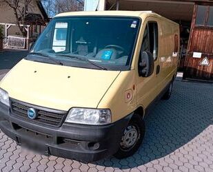 Fiat Fiat Ducato Gebrauchtwagen