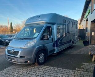 Peugeot Peugeot Boxer (Pferdetransporter) Gebrauchtwagen