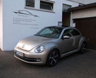 VW Volkswagen Beetle Lim. Cup/PANORAMA/AUTOMATIK/8-FA Gebrauchtwagen