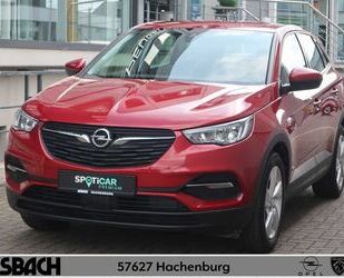 Opel Opel Grandland X Hybrid Gebrauchtwagen