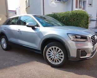 Audi Audi Q2 30 TFSI design Navi 8 Fach bereift Gebrauchtwagen