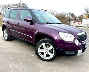 Skoda Skoda Yeti 2.0 TDI 4x4,2.Hd,wenig KM,AHK,Panorama, Gebrauchtwagen