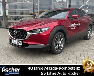 Mazda Mazda CX-30 2.0 (186PS) Autom. Exclusive Modell 20 Gebrauchtwagen