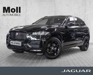 Jaguar Jaguar F-Pace R-Sport AWD 25t P250 EU6d-T Allrad N Gebrauchtwagen