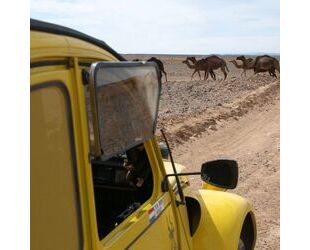 Citroen Citroën 2 CV, Raid uitvoering, Oldtimer, FIVA id Oldtimer