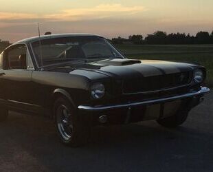 Ford Ford Mustang Fastback GT350H Tribute Schalter Gebrauchtwagen