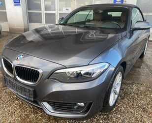 BMW BMW 220i Cabrio 1.Hd/Leder/Alu/Sitzheiz/Hifi/Freis Gebrauchtwagen