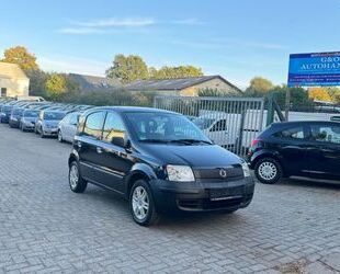 Fiat Fiat Panda 1.1 8V Active*Tüv Neu* Gebrauchtwagen