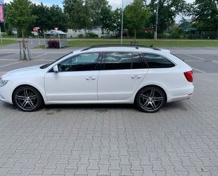 Skoda Skoda Superb 2.0 TDI Ambition Combi Ambition Grent Gebrauchtwagen