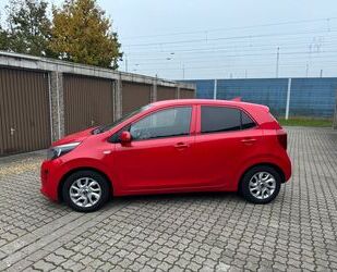 Kia Kia Picanto 1.0 Dream-Team Edition Gebrauchtwagen