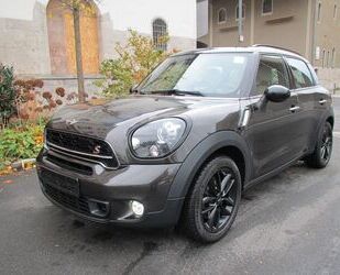 Mini MINI COOPER S Countryman Navi PDC Alu Leder Sitzh. Gebrauchtwagen