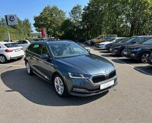 Skoda Skoda Octavia Combi First Edition AHK Matrix Gebrauchtwagen