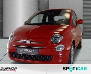 Fiat Fiat 500 1.0 Mild Hybrid Lounge Apple CarPlay Andr Gebrauchtwagen