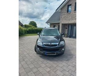 Opel Opel Antara 2.2 CDTI Cosmo 4x4 120kW Cosmo Gebrauchtwagen