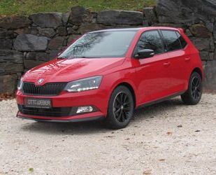 Skoda Skoda Fabia 1.0l TSI 81kW Monte Carlo PANO SHZ LED Gebrauchtwagen