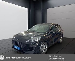 Ford Ford Kuga 2.0 EcoBlue Aut. ST-LINE X Pano AHZV ACC Gebrauchtwagen