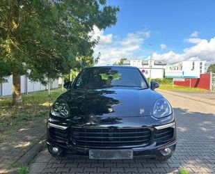 Porsche Porsche Cayenne 3.0 D Pano Approved Gar 11/2025 Gebrauchtwagen