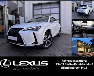 Lexus Lexus UX300e Luxury Line * 72,8 kWh * Neues Model Gebrauchtwagen