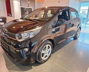 Kia Kia Picanto 1.2 Edition 7 Lenkradheizung DAB Gebrauchtwagen