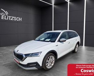 Skoda Skoda Octavia Combi TDI DSG Scout 4x4 Matrix ACC 1 Gebrauchtwagen