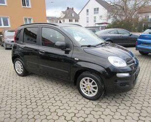 Fiat Fiat Panda Lounge*12 Monate Garantie* Gebrauchtwagen