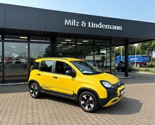 Fiat Fiat PANDA CITY CROSS PLUS HYB 1.0 GSE 70 Gebrauchtwagen