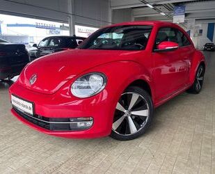 VW Volkswagen Beetle Lim. Design, Leder, Park Pilot, Gebrauchtwagen