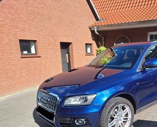 Audi Audi Q5 2.0 TDI quattro - S line - 177PS - AHK Gebrauchtwagen