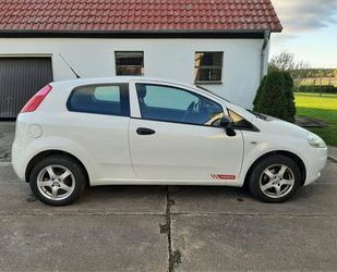 Fiat Fiat Punto 1.2 8V POP POP Gebrauchtwagen