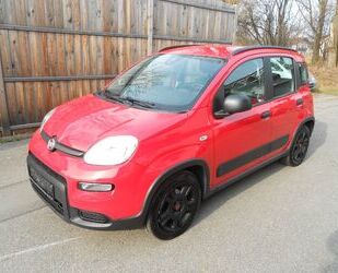 Fiat Panda Gebrauchtwagen