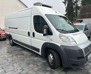 Fiat Fiat Ducato Maxi Grossr.- 35 150 L5 Külkastenwage Gebrauchtwagen