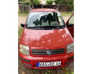 Fiat Fiat Panda Gebrauchtwagen